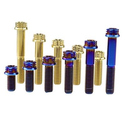 Micro- van de titaniumlegering Boog die Mao Self Drilling Self Tapping-Schroevenroestvrij staal anodiseren